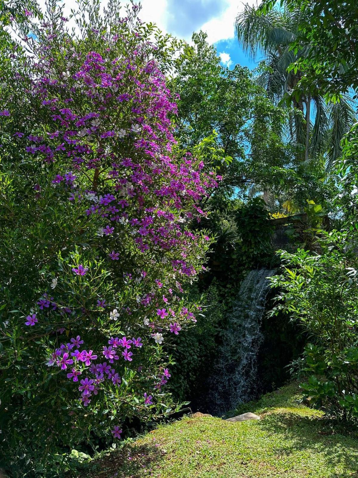 Pousada Refugio Dos Canyons 프라이아 그란데 외부 사진